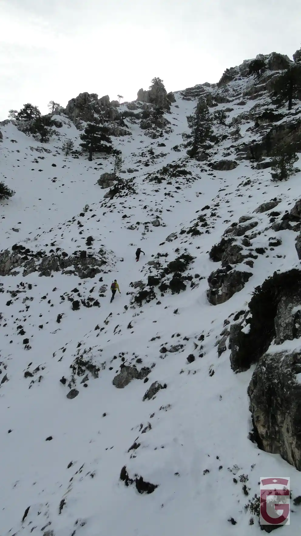 Parte superior del Corredor Andino