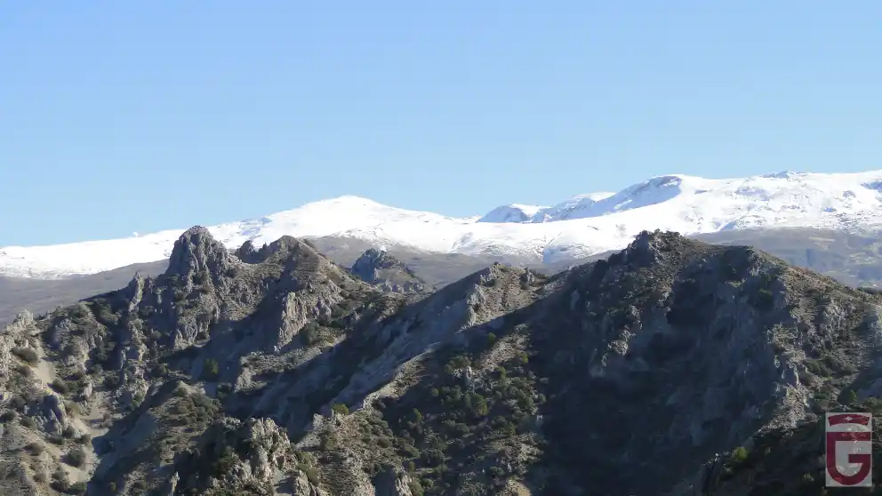 Vistas de la cuerda principal de Los Alayos, en primer término, y de las altas cumbres de Sierra Nevada al fondo