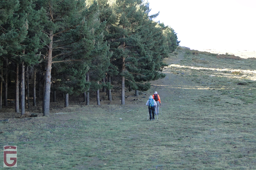 Comienzo del sendero que nos permite ascender junto al pinar de repoblación (punto1)